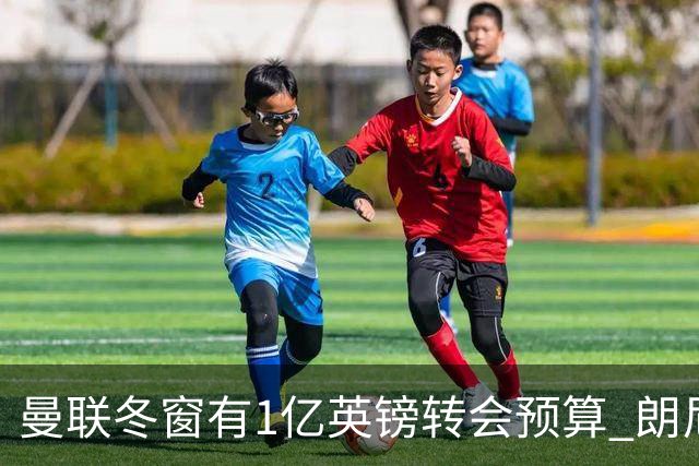 曼联冬窗有1亿英镑转会预算 朗尼克点名要这两人